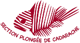 ASCEA Cad. Plongée